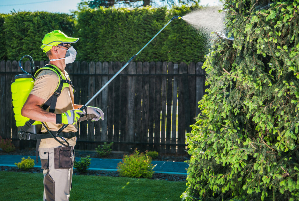 Effective Pest Elimination: Methods Used by Pest Control Services