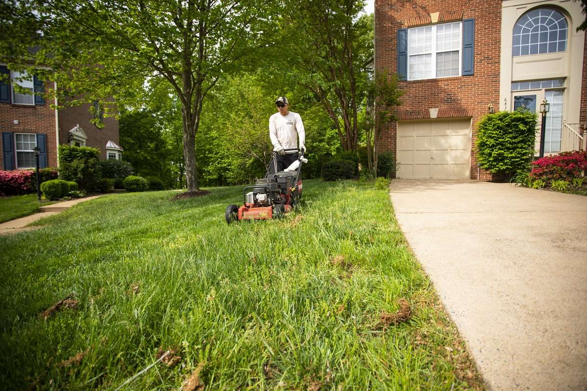 Why Robotic Mowers Could Be the Game-Changer for Commercial Properties