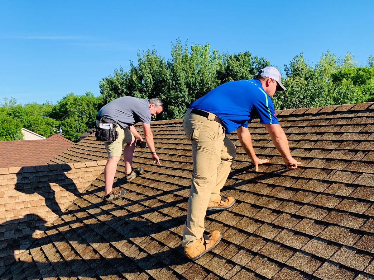 roofing shingles