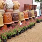 Better Home Gardens