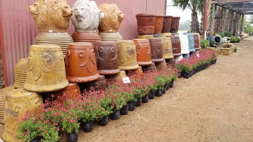 Better Home Gardens
