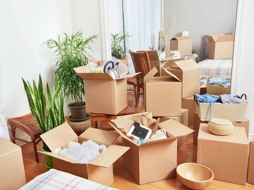 removalists sunshine coast
