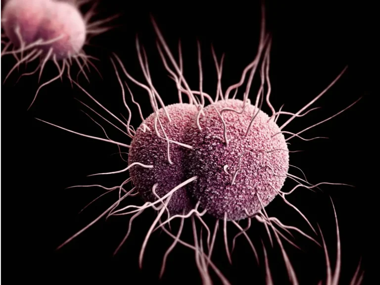 Gut health
