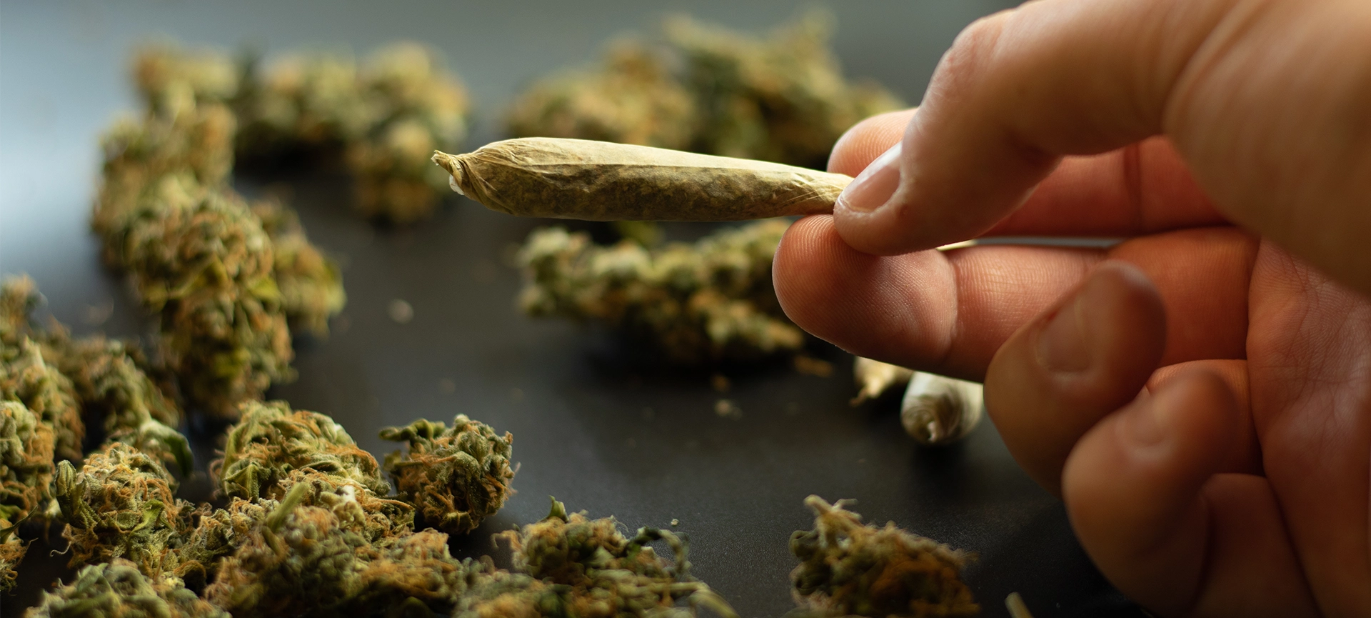 black sheep cbd blend