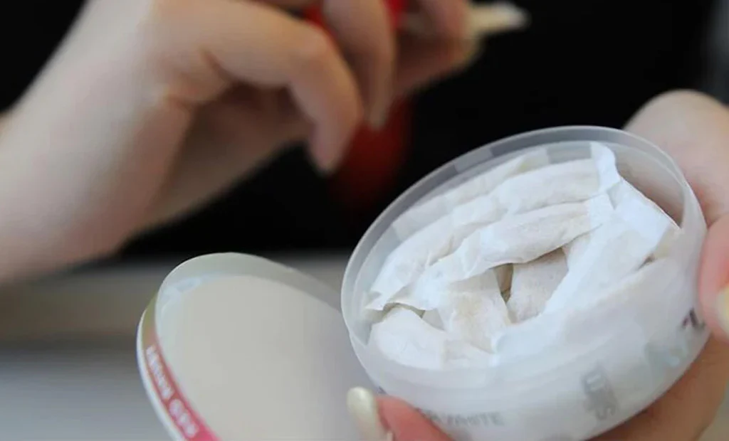 Exploring Flavorful Nicotine Pouch Options Designed for Discreet Daily Enjoyment