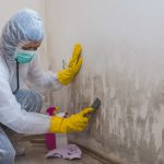 mold testing near me