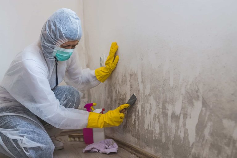 mold testing near me