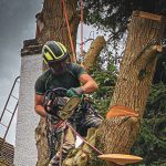 Many Property Concerns Begin With Something Seemingly Minor