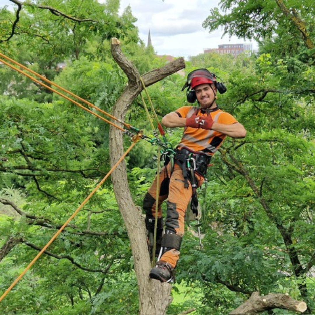 Tree Surgeon Stockport
